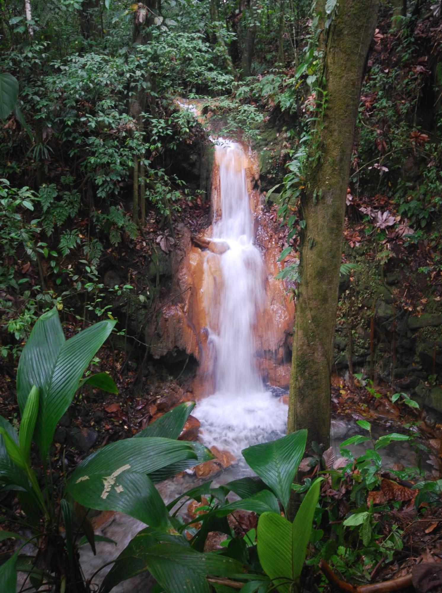 Blue River Resort & Hot Springs Liberia Luaran gambar
