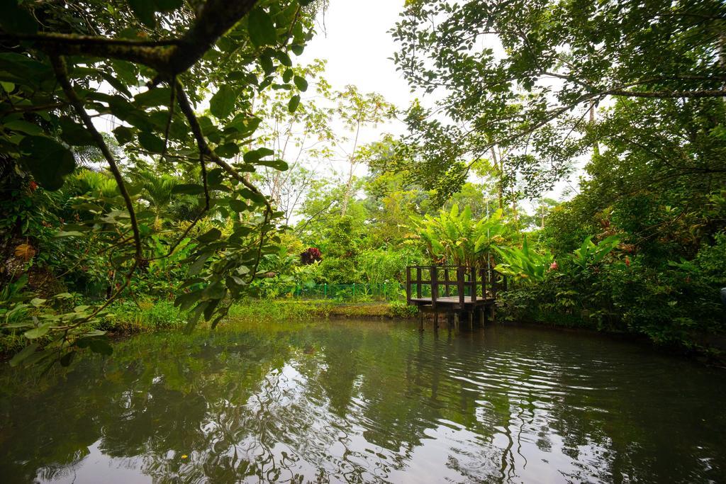 Blue River Resort & Hot Springs Liberia Luaran gambar
