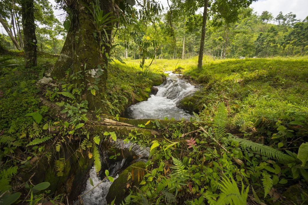 Blue River Resort & Hot Springs Liberia Luaran gambar